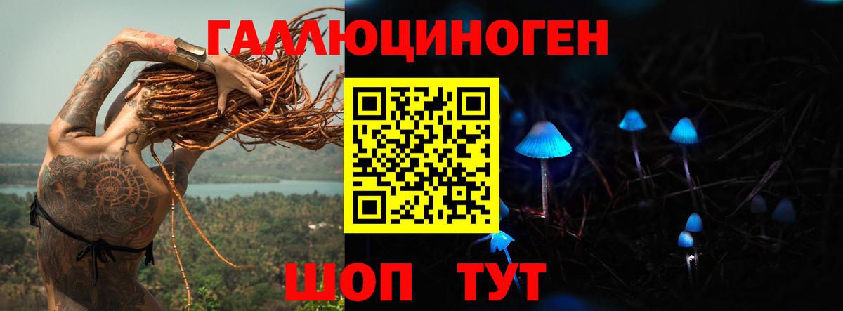 магазин продажи наркотиков  Галлюциногенные грибы мухоморы  Вход с VPN  Псилоцибиновые грибы Psilocybe  Черкесск 
