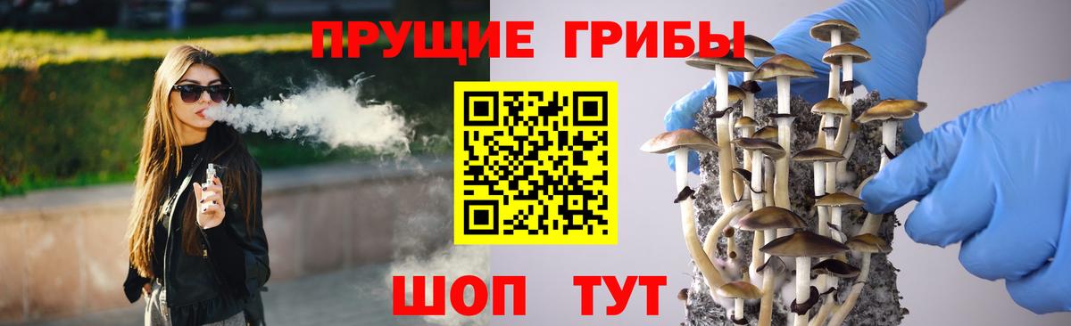 Псилоцибиновые грибы Cubensis Черкесск